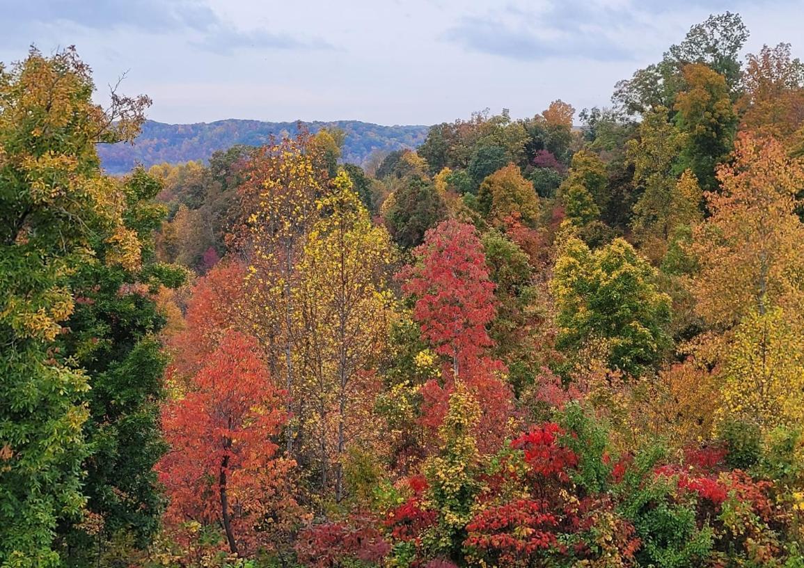 Great Little Guest Suite With Private Entry & Deck! Pet Friendly & 30 Mins To Nashville! Ashland City Exterior foto