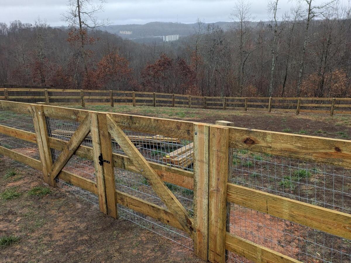 Great Little Guest Suite With Private Entry & Deck! Pet Friendly & 30 Mins To Nashville! Ashland City Exterior foto
